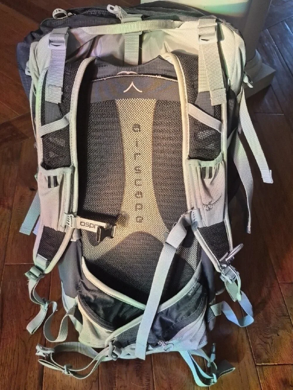 OSPREY Talon 44 Backpack in Black and Gray